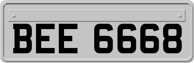 BEE6668