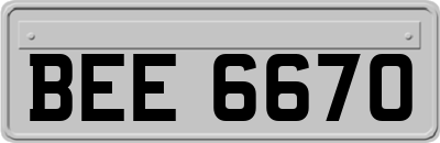 BEE6670