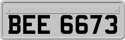 BEE6673