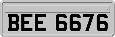 BEE6676