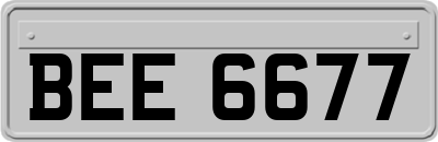 BEE6677