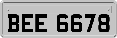 BEE6678