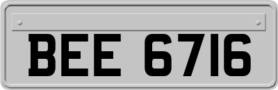 BEE6716