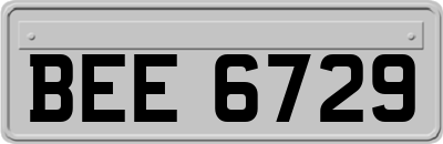 BEE6729