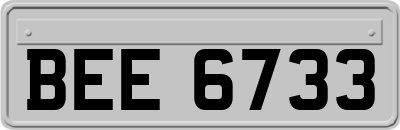 BEE6733