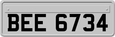 BEE6734