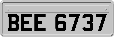 BEE6737