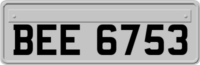BEE6753