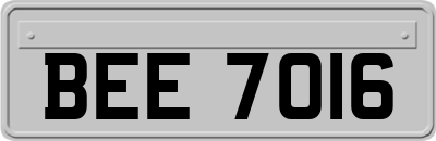 BEE7016