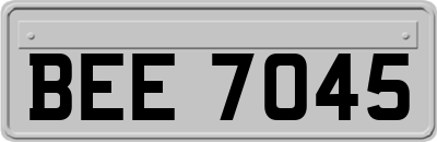 BEE7045