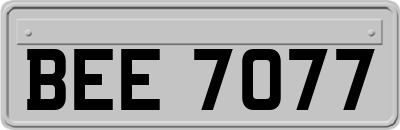 BEE7077