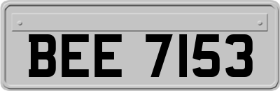 BEE7153