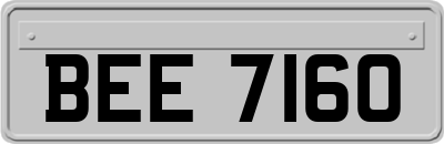 BEE7160