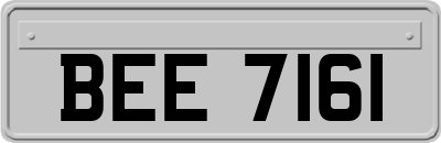 BEE7161