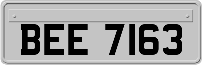BEE7163