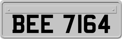 BEE7164