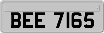 BEE7165