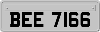 BEE7166