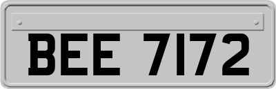 BEE7172