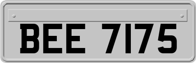 BEE7175