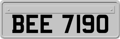 BEE7190