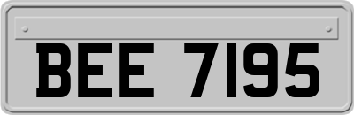 BEE7195