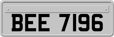 BEE7196