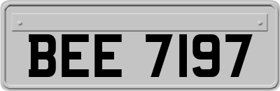BEE7197