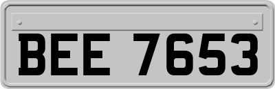 BEE7653