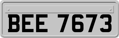 BEE7673