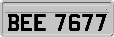 BEE7677