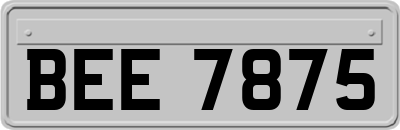 BEE7875