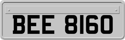 BEE8160