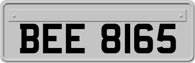 BEE8165