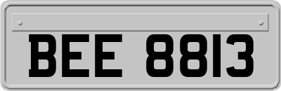 BEE8813