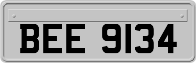 BEE9134