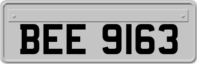 BEE9163