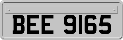 BEE9165