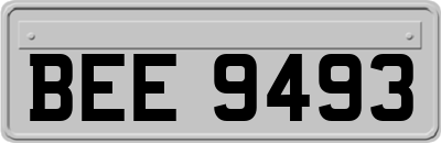 BEE9493