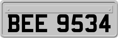 BEE9534