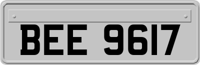 BEE9617