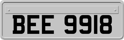 BEE9918