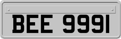 BEE9991