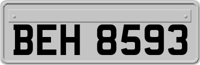 BEH8593