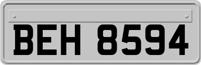 BEH8594
