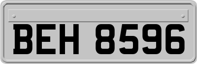 BEH8596