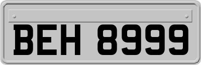 BEH8999