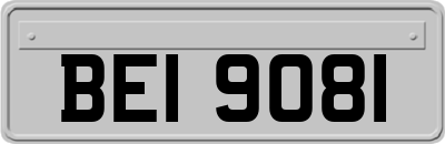 BEI9081