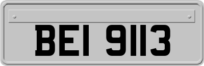 BEI9113