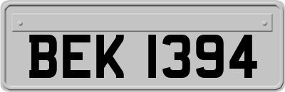 BEK1394
